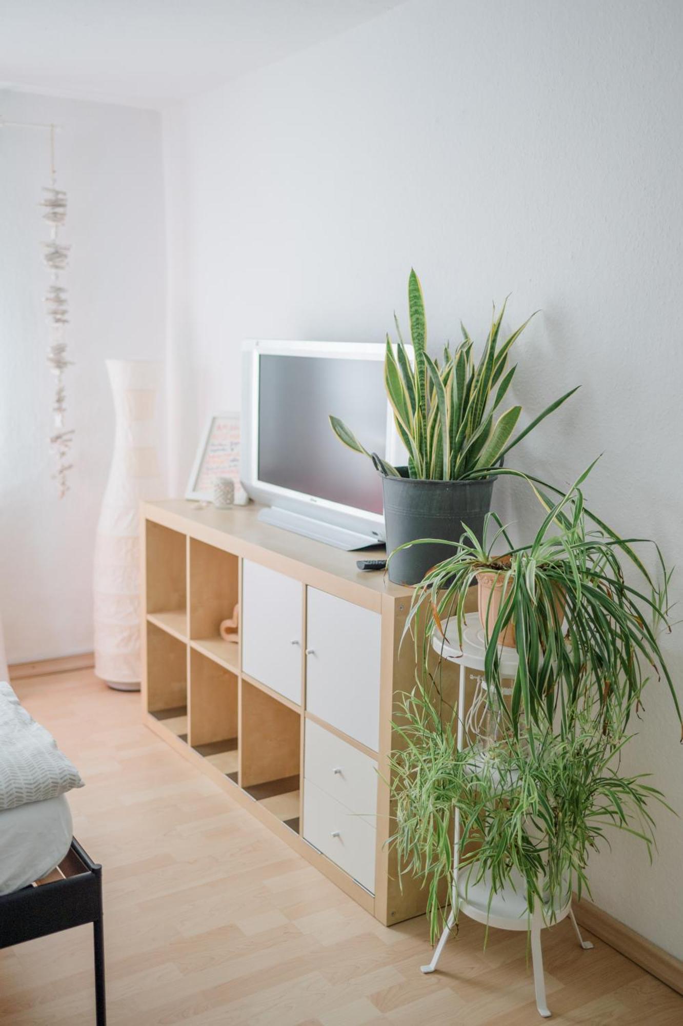 Buchlindenweg - Zimmer & Ferienwohnung Breitscheid  Zewnętrze zdjęcie